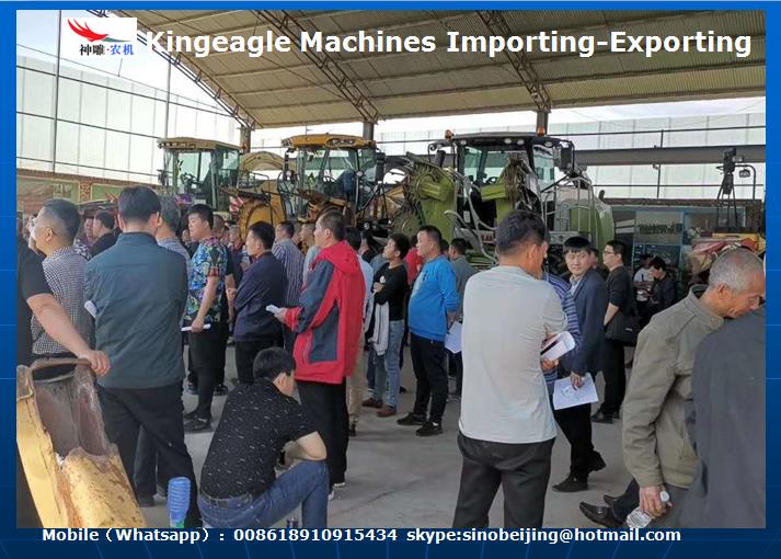 King　Eagle　Agriculture　Forum　(图2)