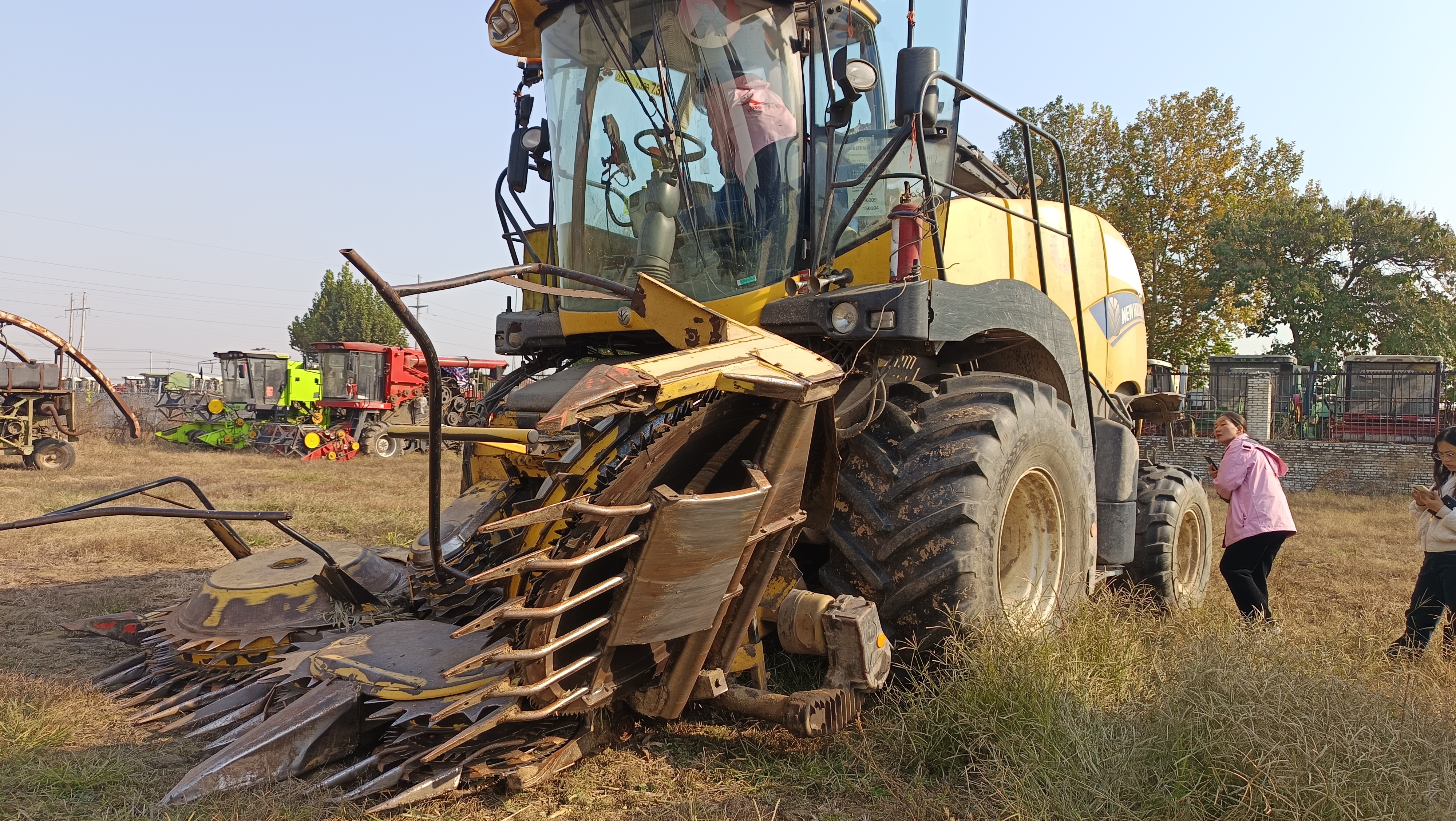 2013年纽荷兰500(图4)