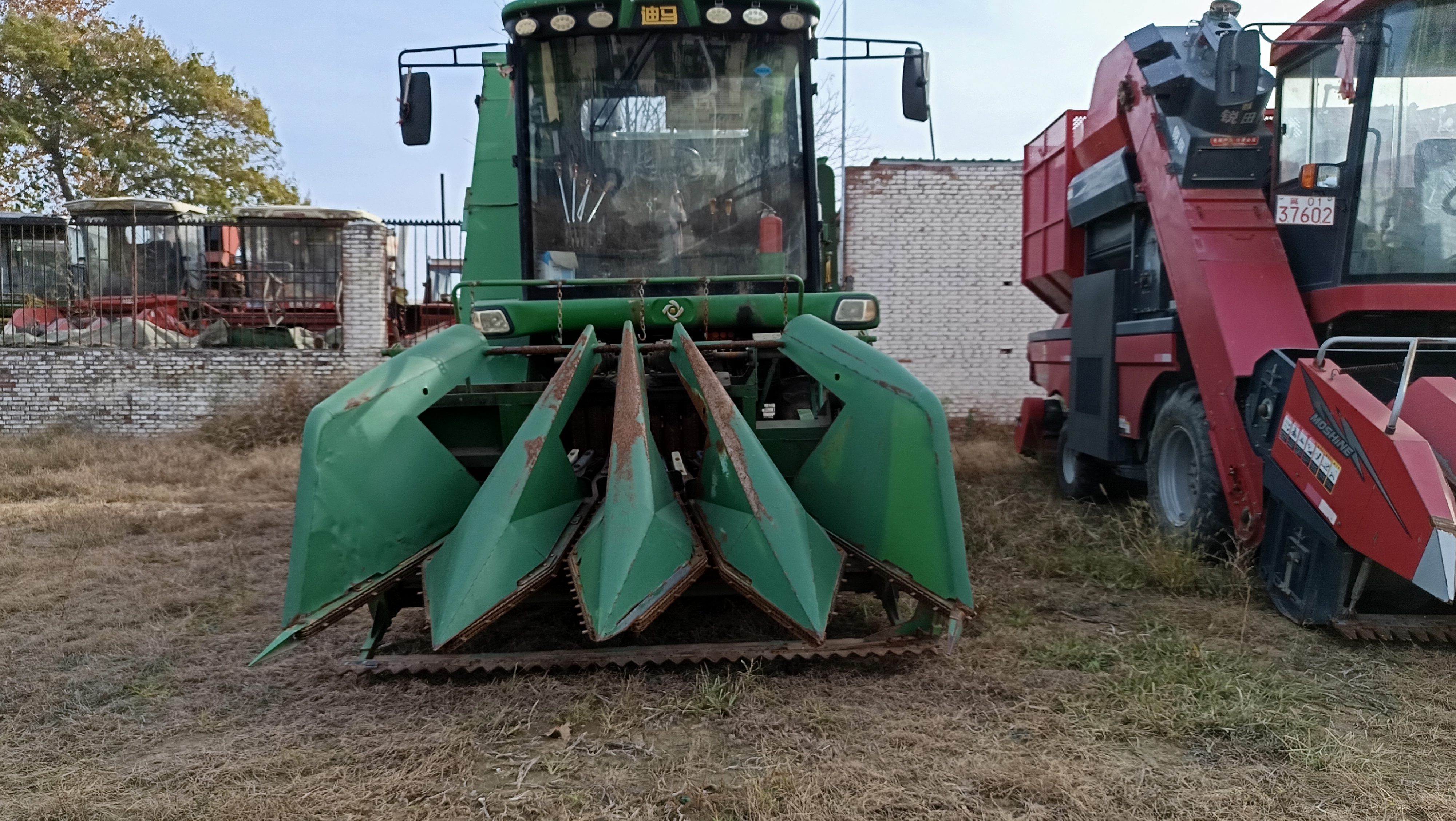 2020.9迪马战狼(图3) 2020.9迪马战狼(图3)